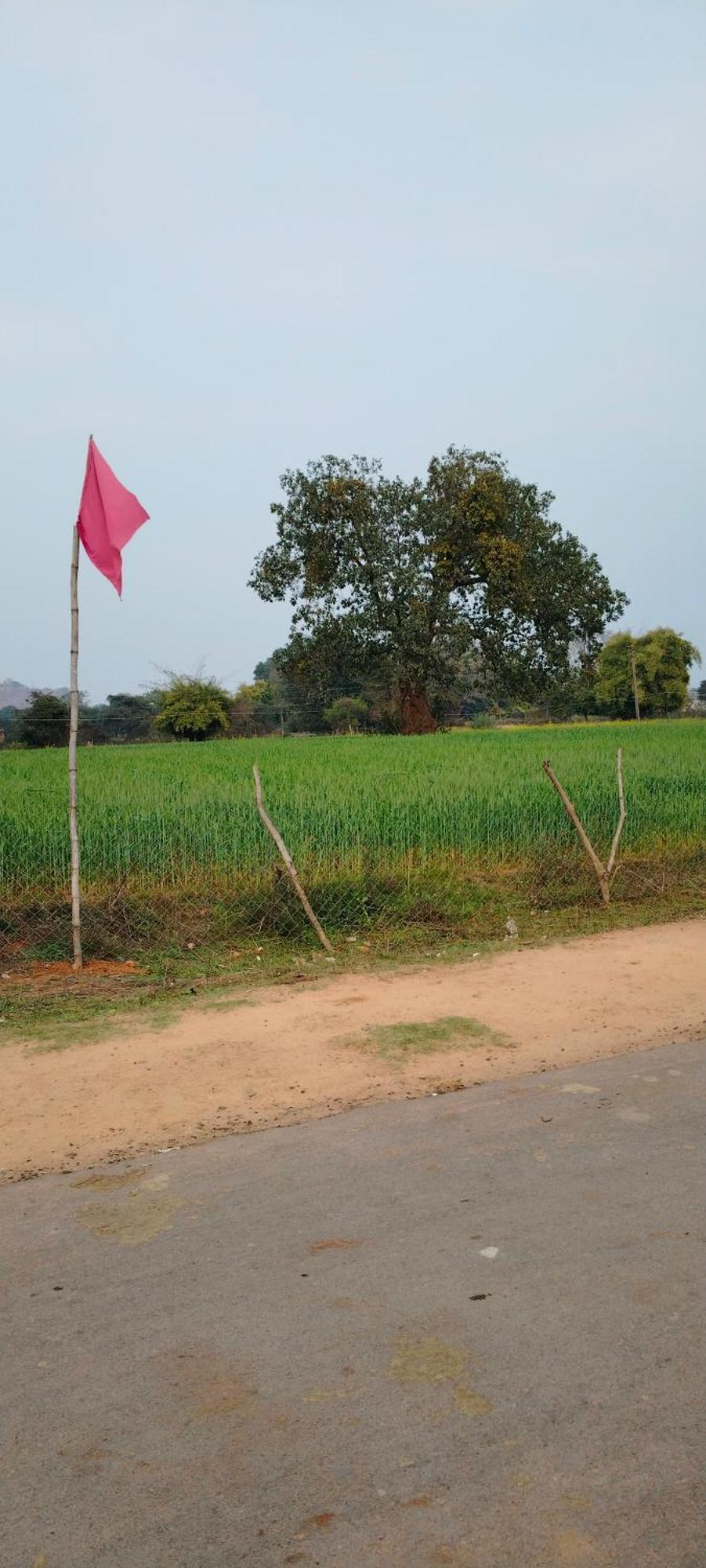 Laxmi Home Stay Ghura Экстерьер фото